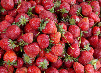 strawberry background