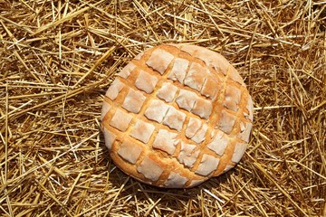 Bread bun round on golden wheat straw