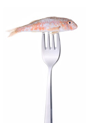 Red mullet on fork isolated on white .