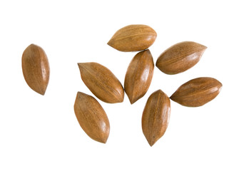 handful of whole  shiny pecan nuts isolated on white background