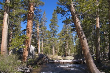 River near Tuolomne Meadows, Yosemite National Park, CA