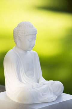 Der weisse Buddha 02