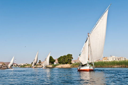 Felucca