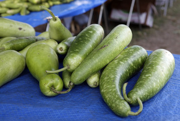green gourds