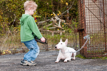 Kind und Hund, Bullterrier, Junge