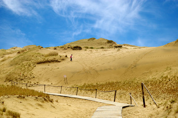 Baltic dunes.The Curonian Spit.Unesco heritage