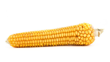 Corn