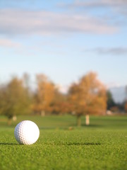 Beside the hole on the green