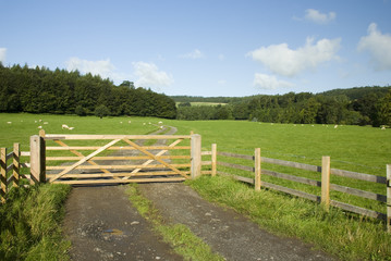 Fototapeta premium Farm gate, Lake District, UK