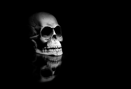 scull