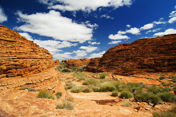 Fototapeta premium Australische Outback Hügellandschaft