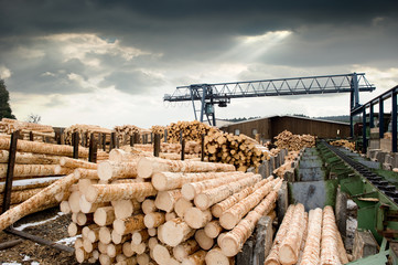 Sawmill (lumber mill) - obrazy, fototapety, plakaty