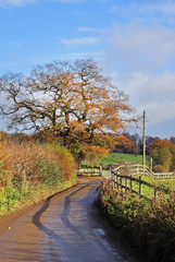 An English country Lane in early Winter