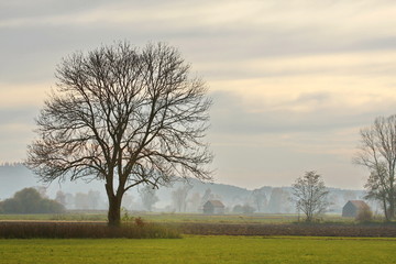 November © fotoping