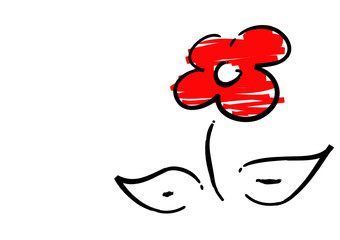 Rote Blume