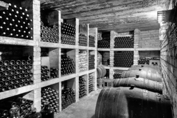 wine cellar