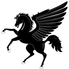 Black Pegasus on white background