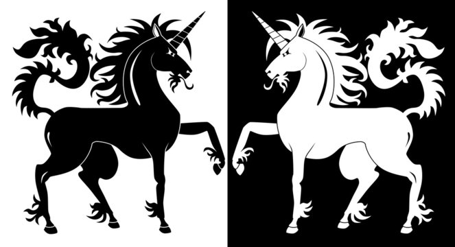 Black and white unicorn