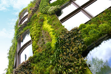 Mur v&eacute;g&eacute;tal Fa&ccedil;ade immeuble V&eacute;g&eacute;talis&eacute;
