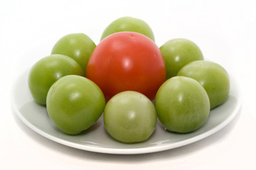 Tomatos