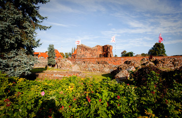 Teutonic castle-monument in Torun,Poland © 123108 Aneta