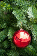 Christmas decorations