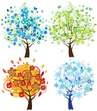 four season trees