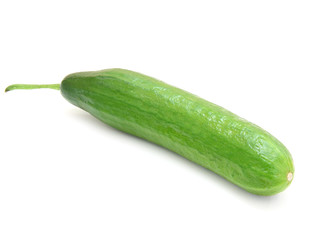 The fresh green cucumber