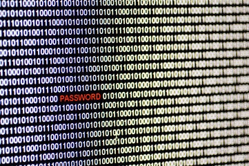 Computer screen with binary code and isolated red password.