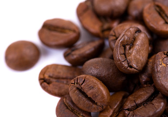 macro shot of coffe bens, isolated on white