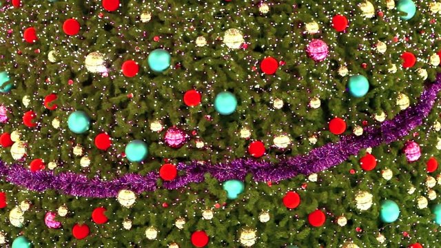 sapin 1