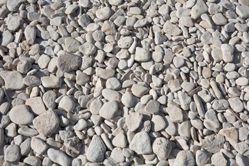 Pebble beach closeup