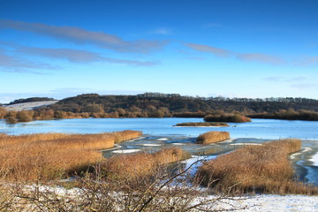 attenborough nature reserve in winter , attenborough