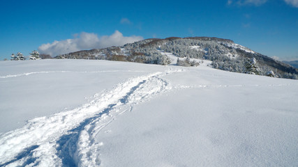 Fototapeta na wymiar Path in snow leading to top of the mountain