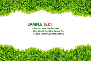 Gartenposter grass frame isolated on white background © tungphoto
