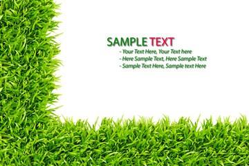 grass frame isolated on white background