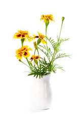 marigold flowers in vase