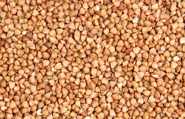 buckwheat;