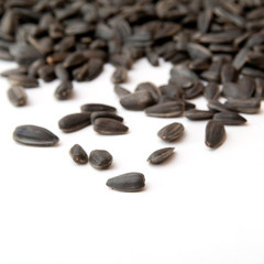 seeds