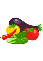 cucumber, eggplant, pepper and tomato