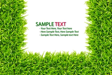 Deurstickers grass frame isolated on white background © tungphoto