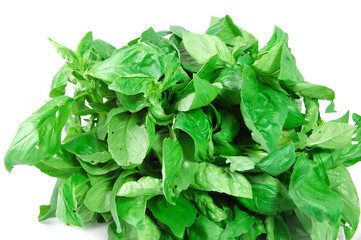Basil leaves