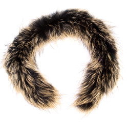 Fototapeta premium A fur isolated on the white background