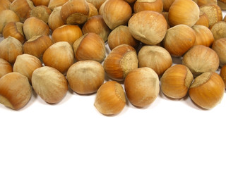 hazelnuts