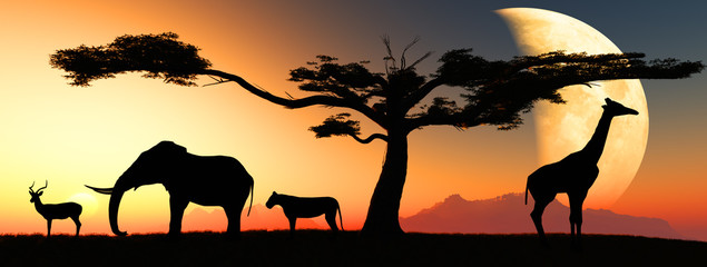 Fototapeta na wymiar zwierząt afrykańskich