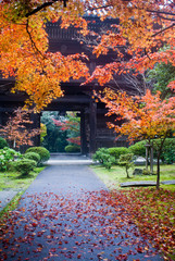 Japanese temple exit showing fall foliage