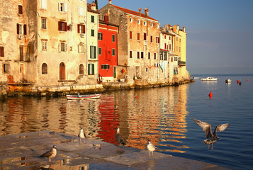 Old harbor with birds (Rovinj, Croatia, Europe)