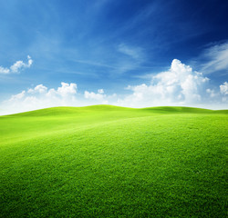 groen veld en blauwe lucht
