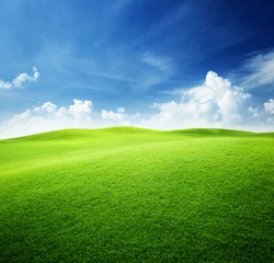 Fotobehang Lente groen veld en blauwe lucht