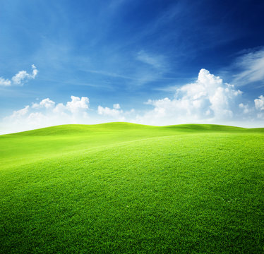 Fototapeta green field and blue sky